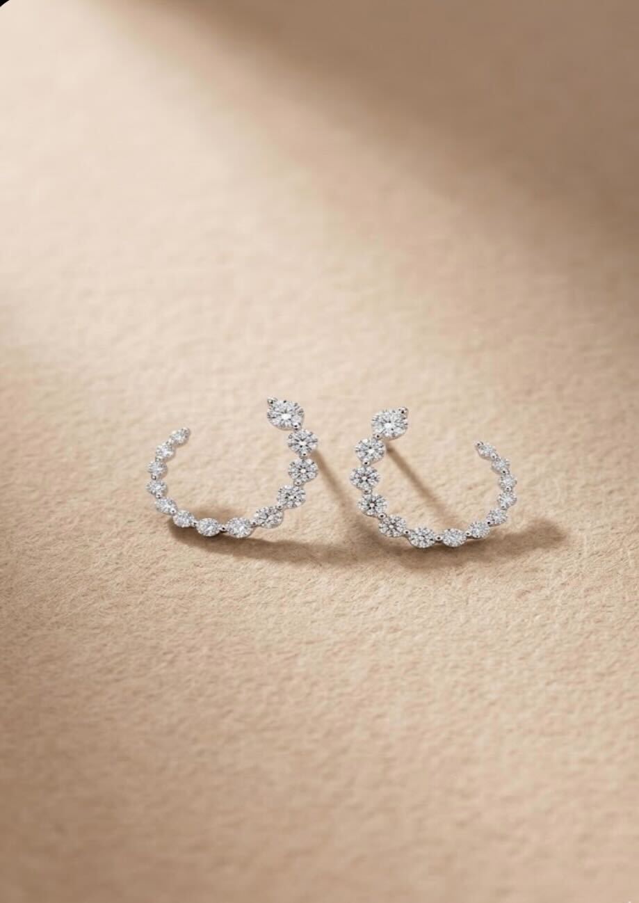 Round Cut Natural Diamond into Hook-like Earrings
