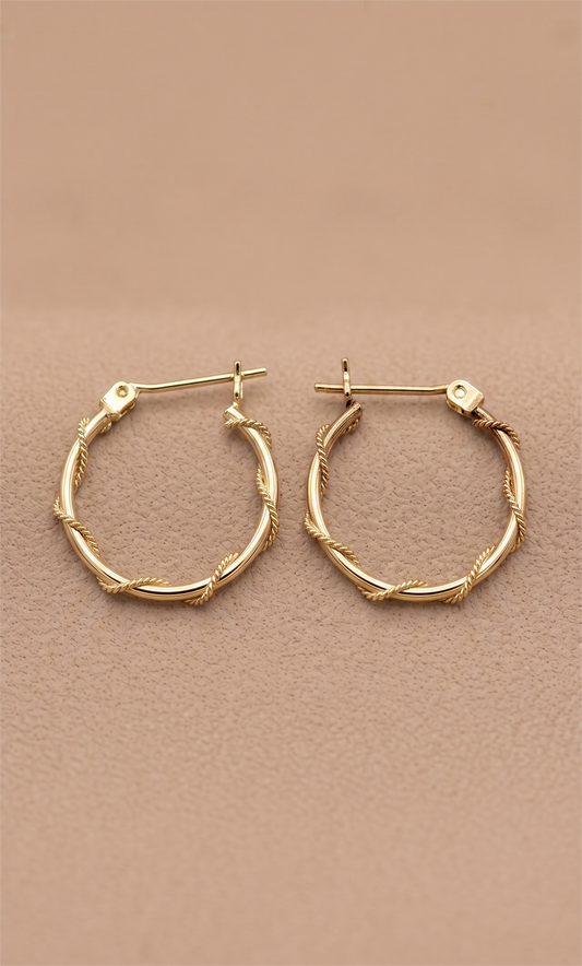 Twisted Hoop Earrings