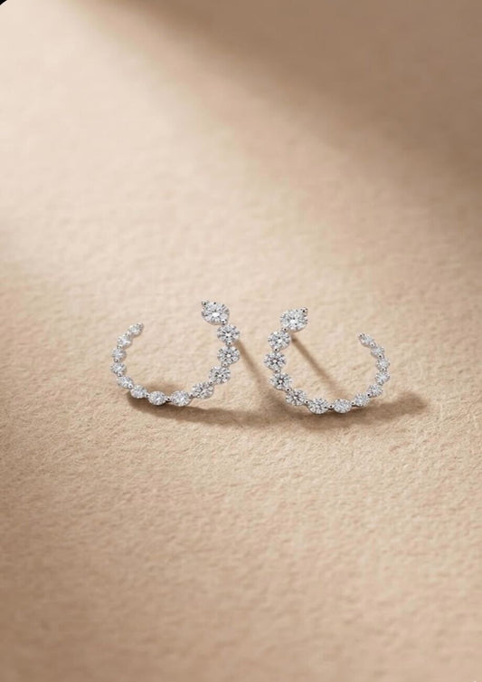 Round Cut Natural Diamond into Hook-like Earrings
